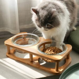 Glass cat bowl cat food bowl cat food bowl - Image 3