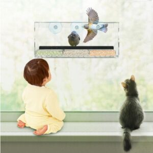 New acrylic feeder - Image 4