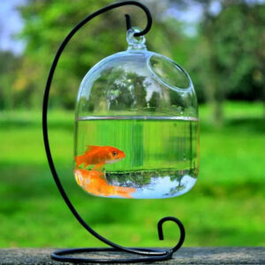 Transparent glass handmade fish tank - Image 4
