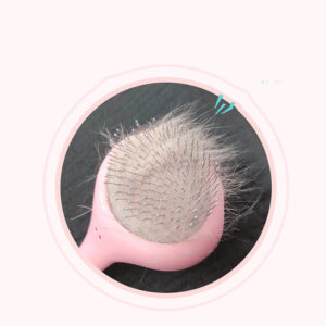 Golden Retriever Comb Brush Dog Supplies - Image 5