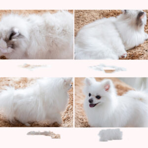 Golden Retriever Comb Brush Dog Supplies - Image 3