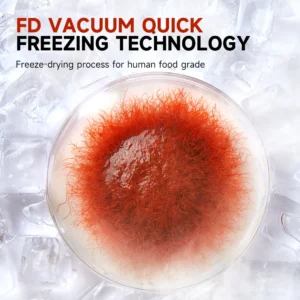 High Protein Fish Food Natural Frozen Dried Bloodworms Fish Food Freeze-dried Brine Shrimp Chunks - Image 6