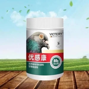 NEW Pigeon Chlamydia Chronic Respiratory Fever Bird Parrot Pigeon Medicine 60 Tablets - Image 6