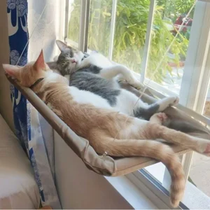 Pet Cat Hammock Aerial Hanging Cat Bed Cats Bed House Kitten Climbing Frame Sunny Window Seat Nest Bearing 20kg Pet Accessories - Image 3